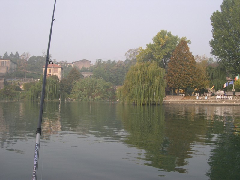 Posted Image