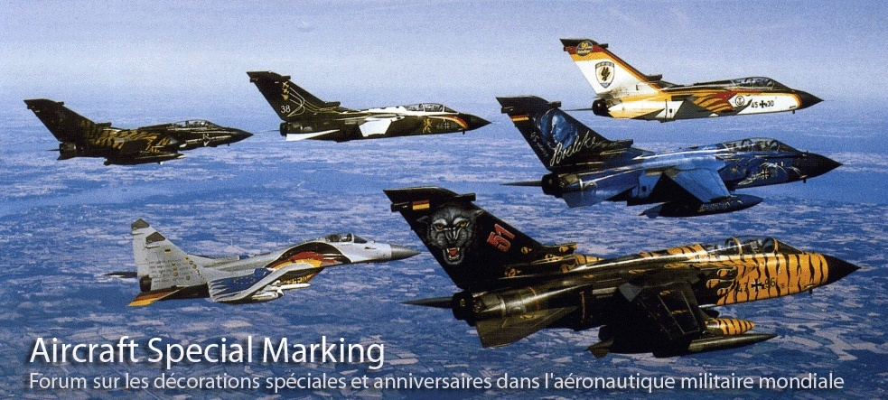 Aircraft Special Marking