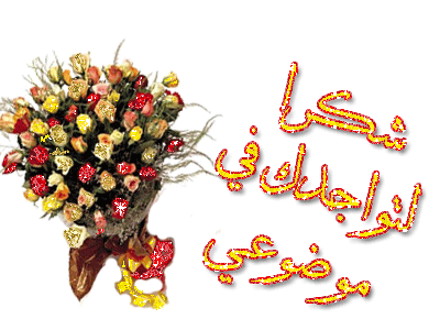 نقرتين لعرض الصورة في صفحة مستقلة