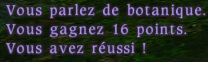 nego1410.jpg