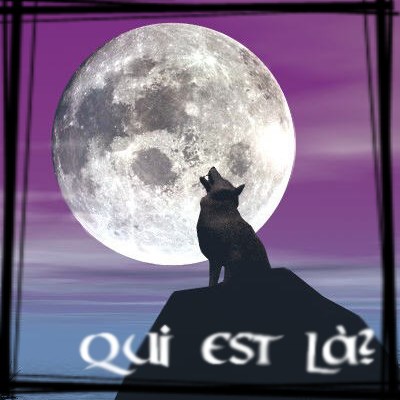Qui est en ligne ?