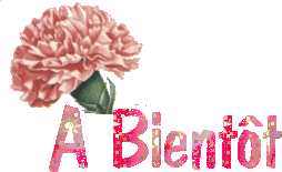 abient11.gif