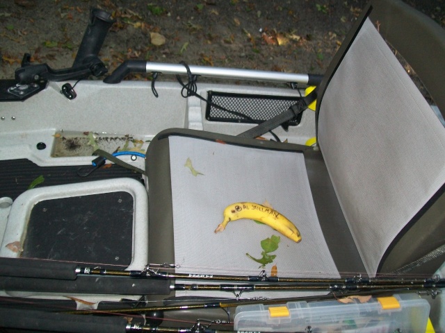 banana15.jpg